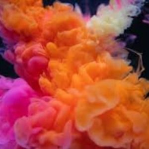 Meet your Posher, Tanita